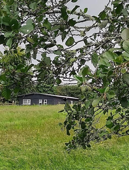 Drummacahan Lodge Ederny Kültér fotó