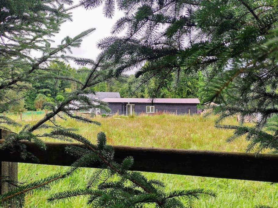 Drummacahan Lodge Ederny Kültér fotó